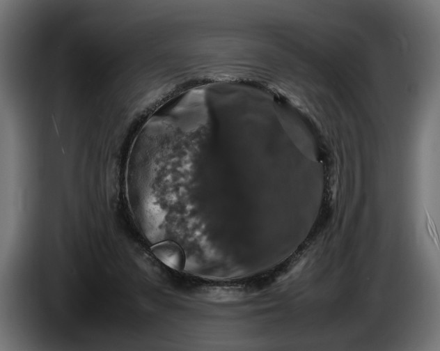 X0000087420303200705041313