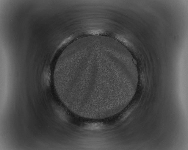 X0000087420304200705041313