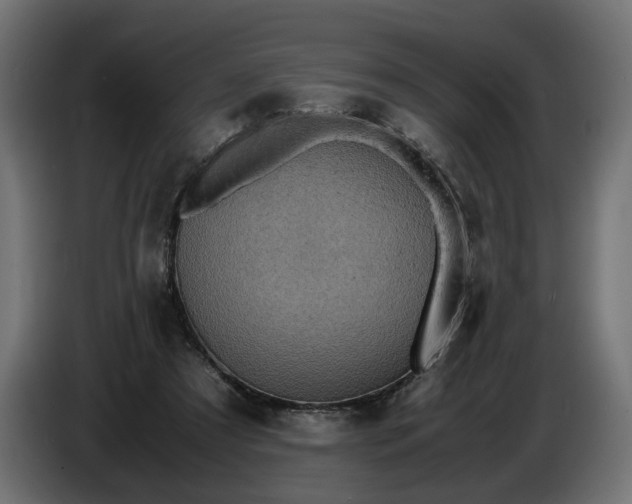 X0000087420305200705041313