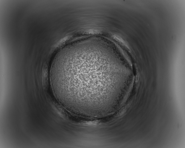 X0000087420306200705041313