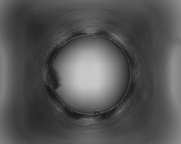 X0000087420307200705041313