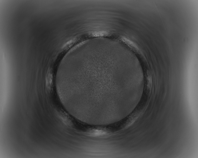 X0000087420308200705041313