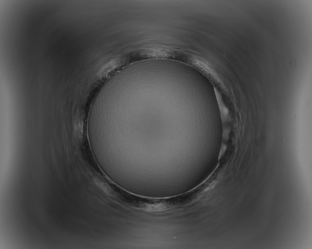 X0000087420309200705041313