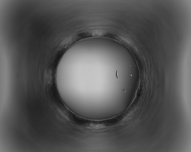 X0000087420311200705041313