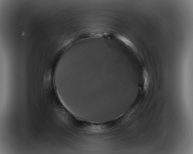 X0000087420314200705041313