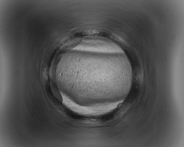 X0000087420315200705041313
