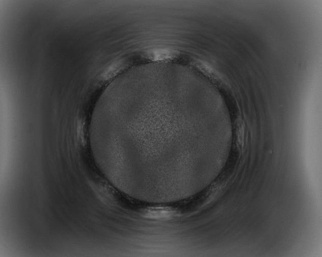 X0000087420316200705041313