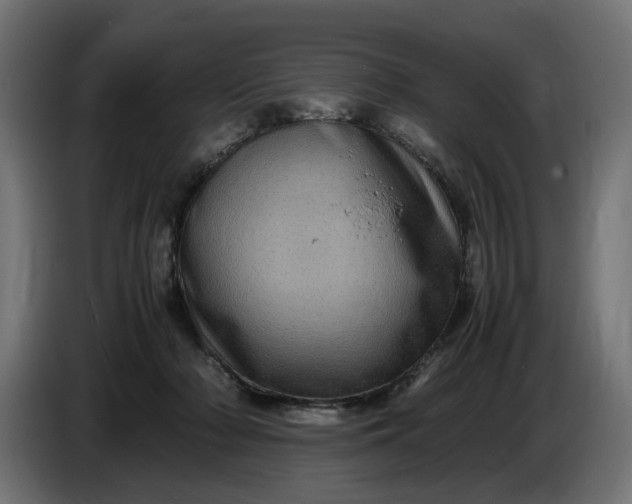 X0000087420318200705041313