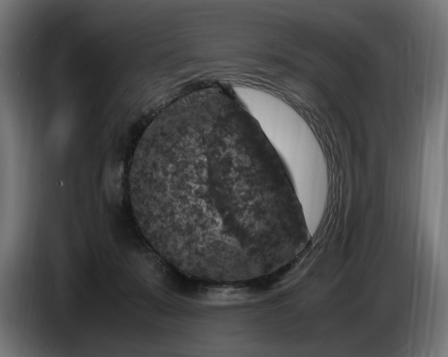 X0000087420319200705041313
