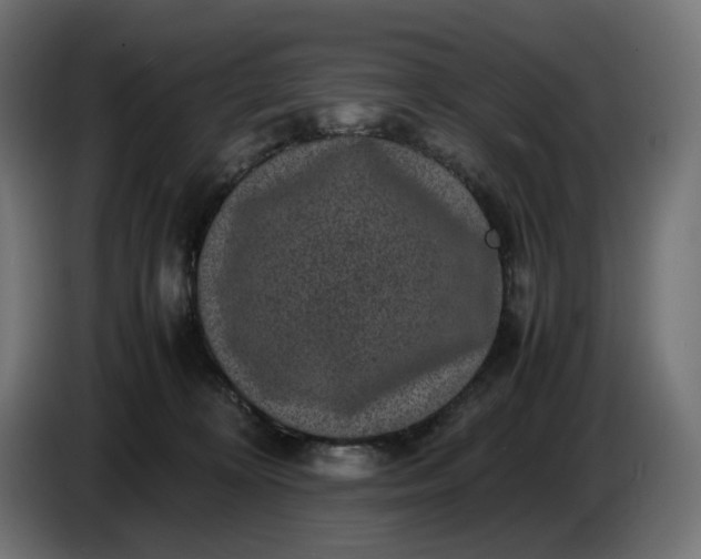 X0000087420324200705041313