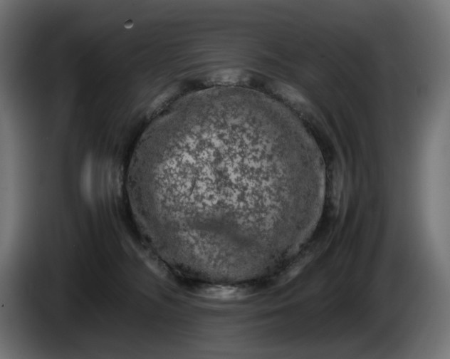 X0000087420326200705041313