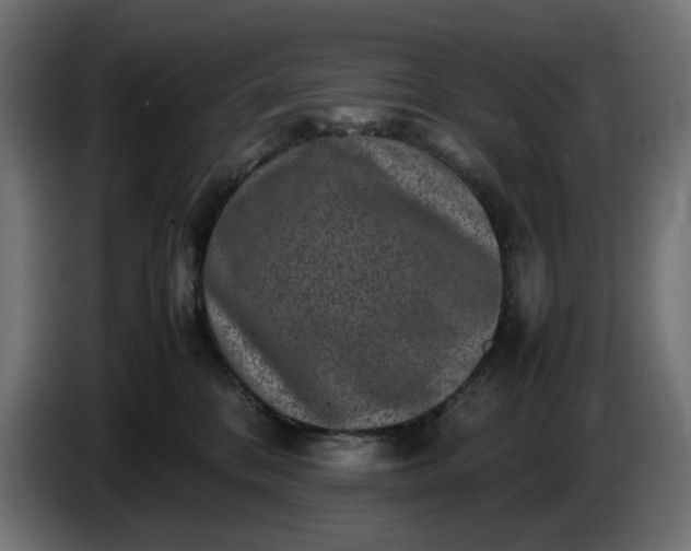 X0000087420328200705041313