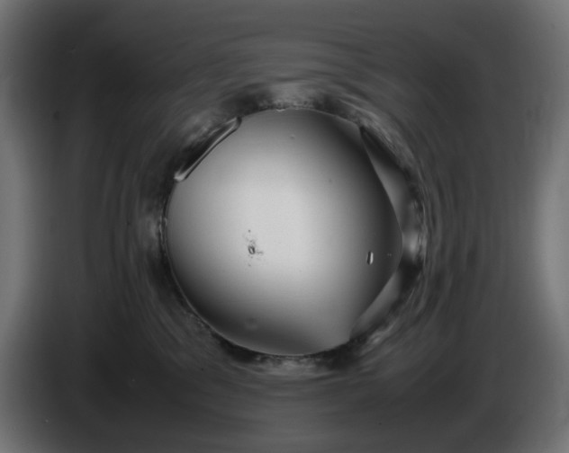 X0000087420329200705041313