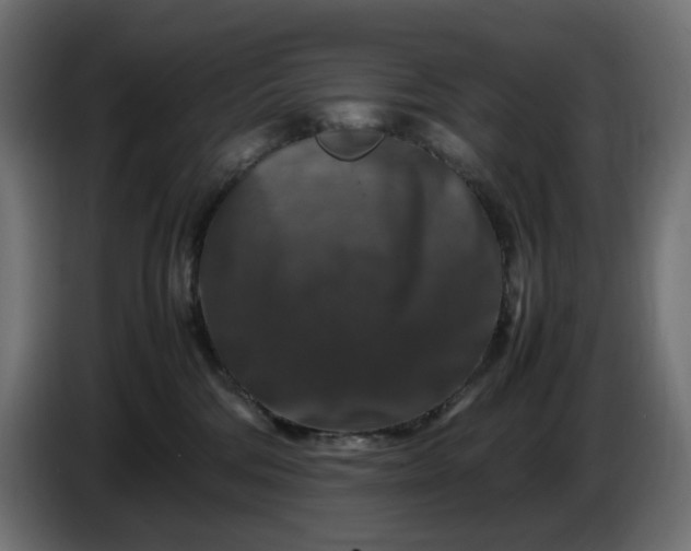 X0000087420330200705041313