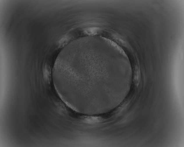 X0000087420332200705041313