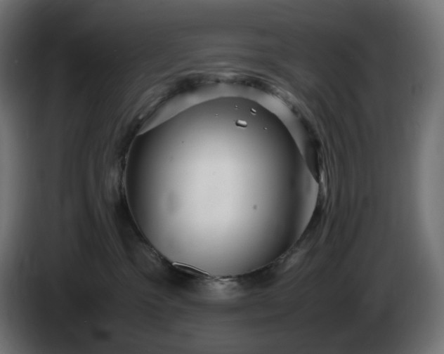 X0000087420333200705041313