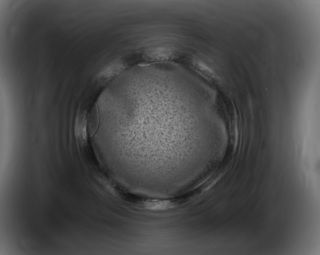 X0000087420334200705041313