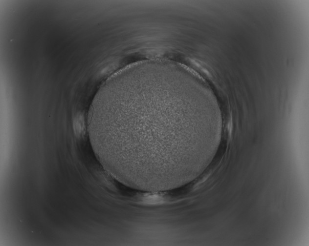X0000087420335200705041313