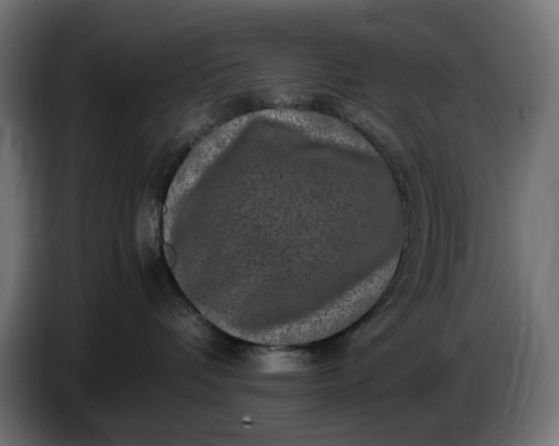 X0000087420336200705041313