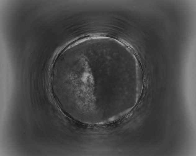 X0000087420337200705041312