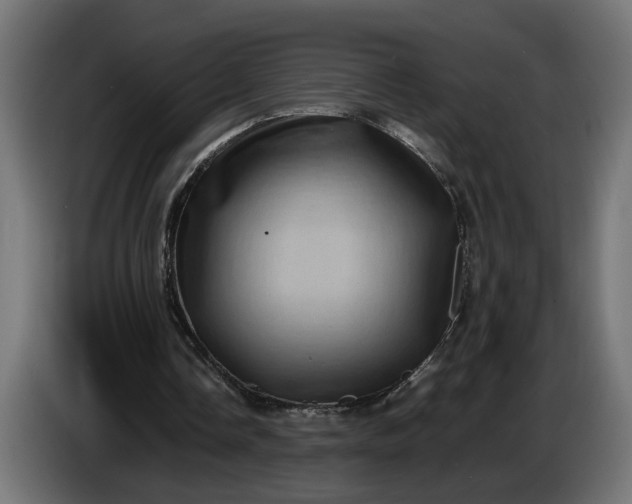 X0000087420338200705041312