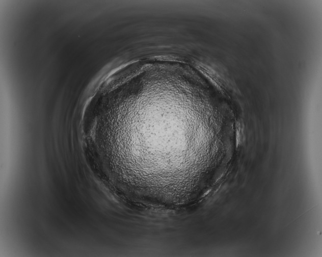 X0000087420339200705041312