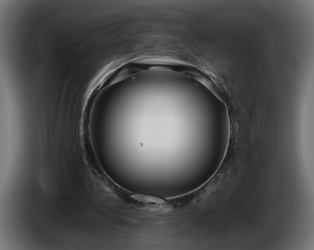 X0000087420340200705041312
