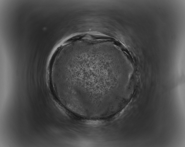 X0000087420342200705041312