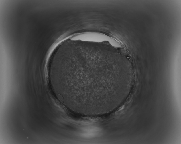 X0000087420343200705041312