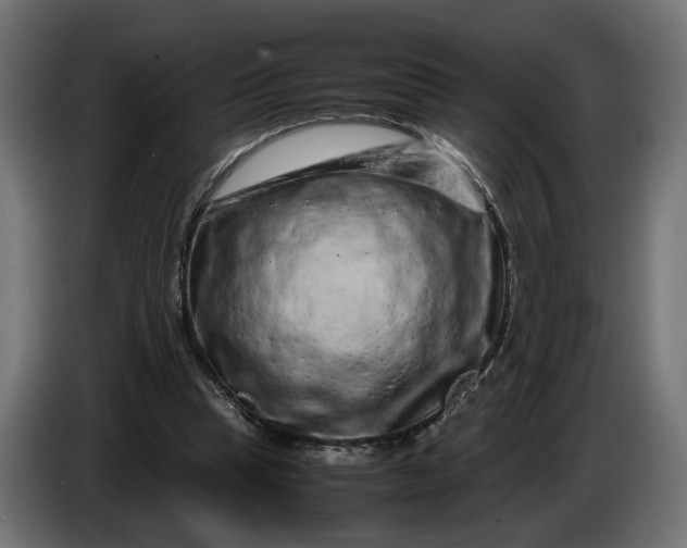 X0000087420345200705041312