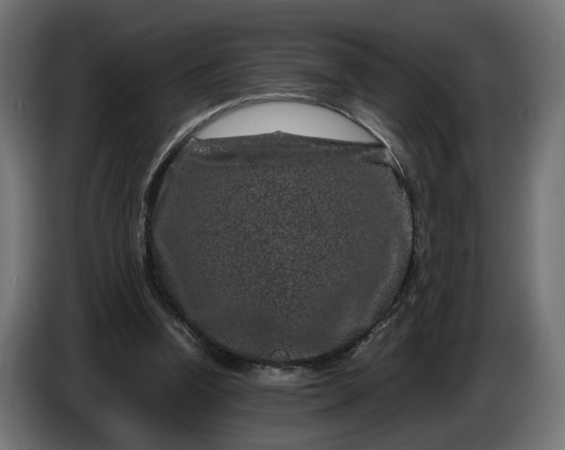 X0000087420346200705041312