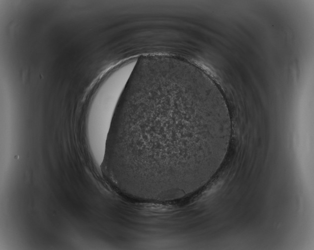 X0000087420347200705041312