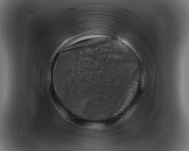 X0000087420348200705041312