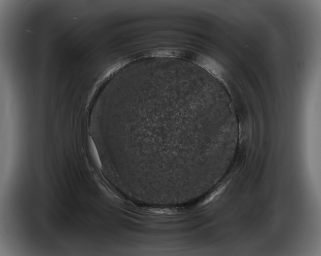 X0000087420349200705041312