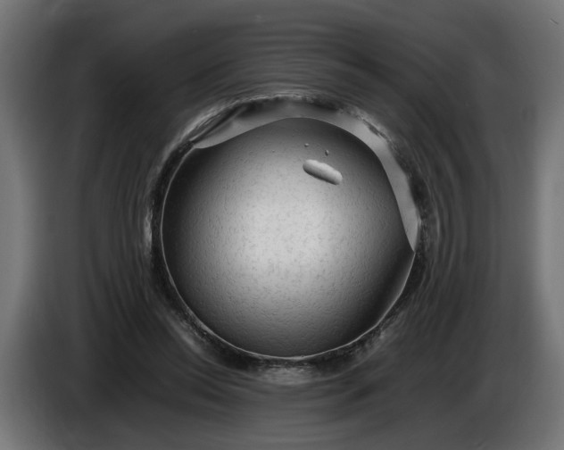 X0000087420350200705041312