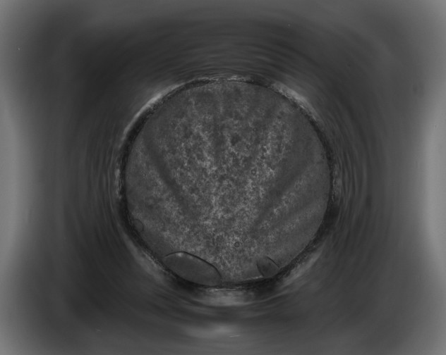 X0000087420351200705041312