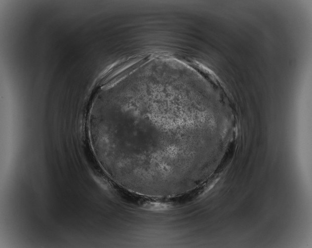 X0000087420352200705041312