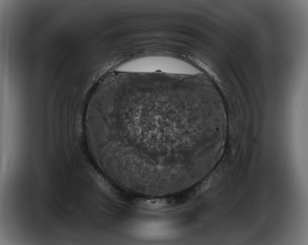 X0000087420353200705041312