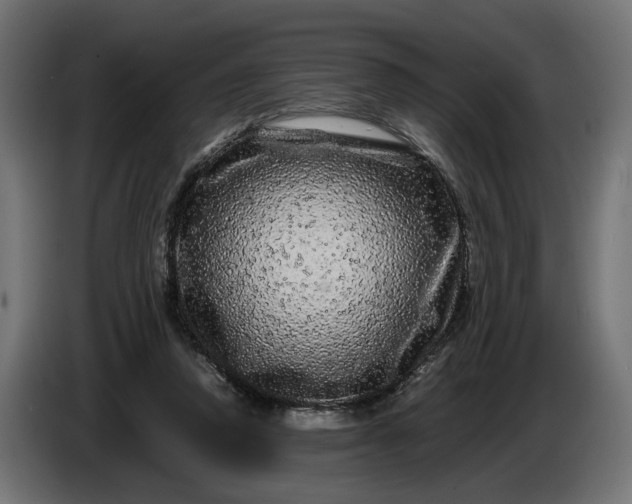 X0000087420354200705041312