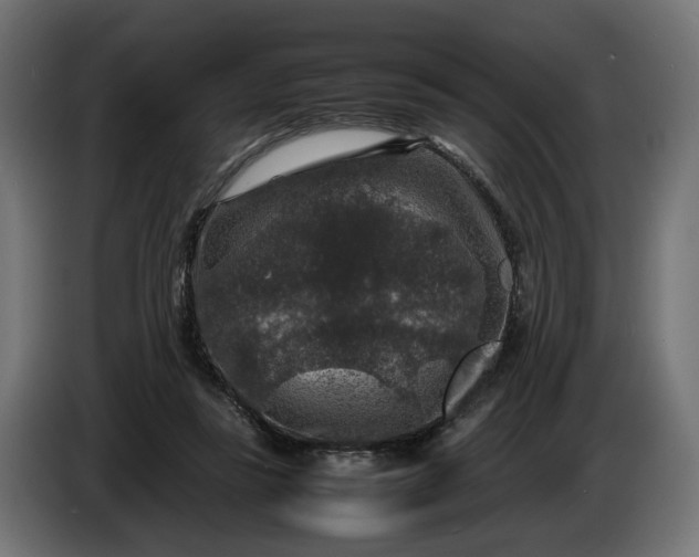X0000087420355200705041312