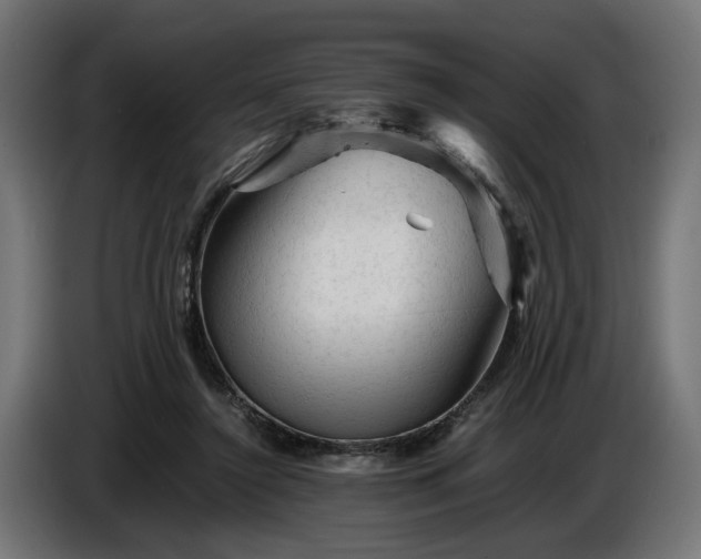 X0000087420356200705041312