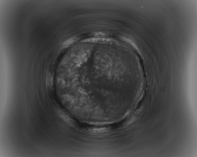 X0000087420357200705041312