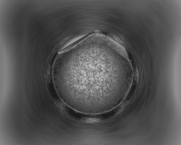 X0000087420360200705041312
