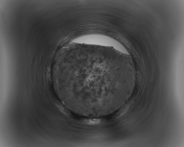 X0000087420361200705041312
