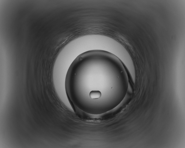 X0000087420362200705041312