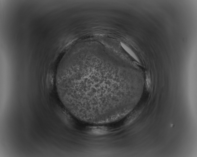 X0000087420363200705041312