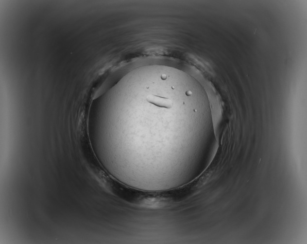 X0000087420364200705041312
