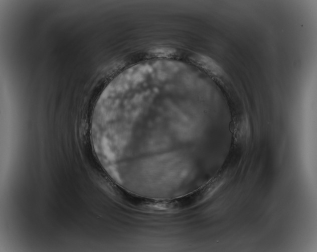 X0000087420365200705041312