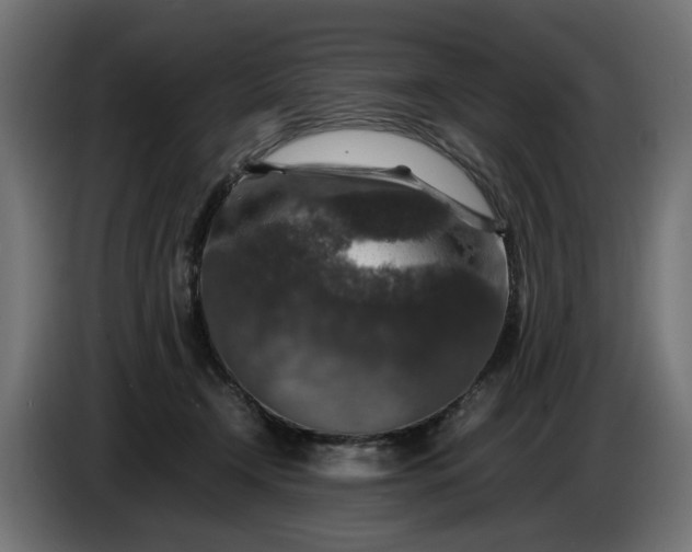 X0000087420366200705041312