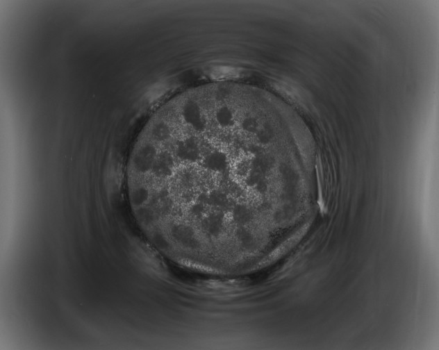 X0000087420367200705041312